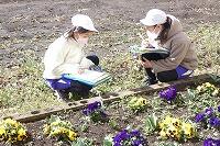 学校からのお知らせ 真岡市立真岡西小学校